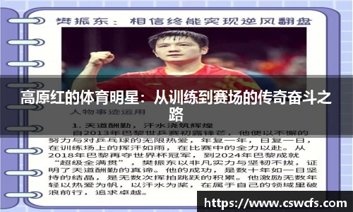 乐竞中国官方入口